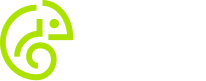 Pingle Studio Logo